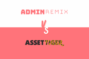 AssetRemix vs AssetTiger.png